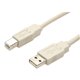 StarTech.com - USB cable - 4 pin USB Type A (M) - 4 pin USB Type B (M) - 10 ft - 10ft USB Cable - A to B USB Cable - USB Printer