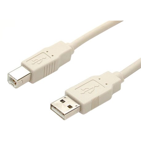 StarTech.com - USB cable - 4 pin USB Type A (M) - 4 pin USB Type B (M) - 10 ft - 10ft USB Cable - A to B USB Cable - USB Printer