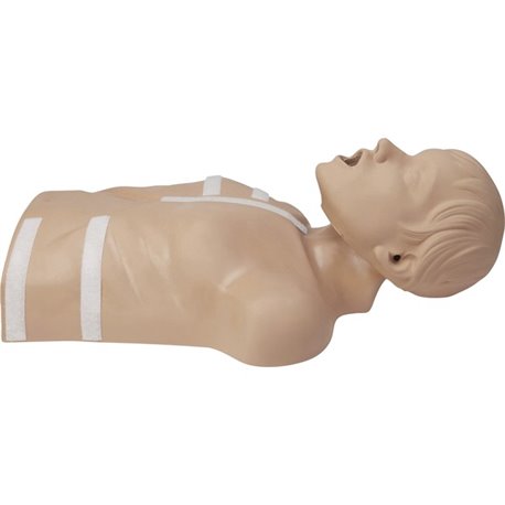 ZOLL CPR-D Demo Manikin - 1 Each - Green