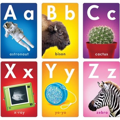 Trend ABC Photo Fun Learning Set - Learning Theme/Subject - Durable, Reusable, Sturdy - Multi - 1 Each