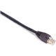 Black Box Gigabase Cat. 5E UTP Patch Cable - RJ-45 Male - RJ-45 Male - 1ft - Purple