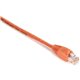 Black Box Gigabase Cat. 5E UTP Patch Cable - RJ-45 Male - RJ-45 Male - 1ft - Orange