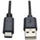 Eaton Tripp Lite Series USB-A to USB-C Cable, USB 2.0, (M/M), 6 ft. (1.83 m) - USB - 60 MB/s - 6 ft - 1 x Type A Male USB - 1 x 