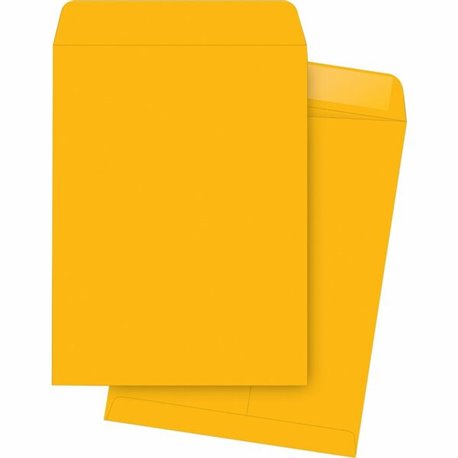 Business Source Kraft Gummed Catalog Envelopes - Catalog - 13 1/2 - 10" Width x 13" Length - 28 lb - Gummed - Kraft - 250 / Box 