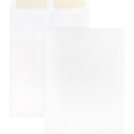 Business Source 28 lb. White Catalog Envelopes - Catalog - 10 1/2 - 9" Width x 12" Length - 28 lb - Gummed - Wove - 250 / Box - 