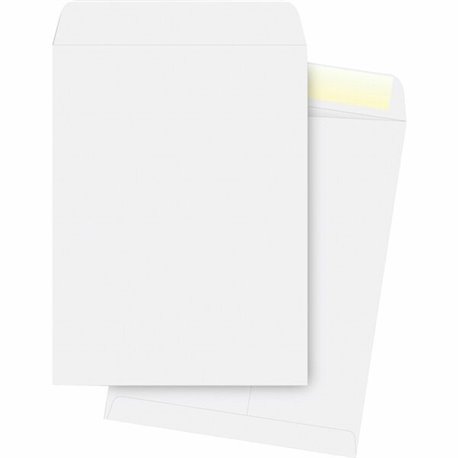 Business Source 28 lb. White Catalog Envelopes - Catalog - 13 1/2 - 10" Width x 13" Length - 28 lb - Gummed - Wove - 250 / Box -