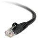 Belkin Cat. 6 Patch Cable - RJ-45 Male - RJ-45 Male - 5ft - Black
