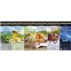 Bigelow Assorted Flavor Herbal Tea Bag - 168 / Carton