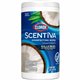 Clorox Scentiva Wipes, Bleach Free Cleaning Wipes - Ready-To-Use - Pacific Breeze & Coconut Scent - 75 / Canister - 1 Each - Ble