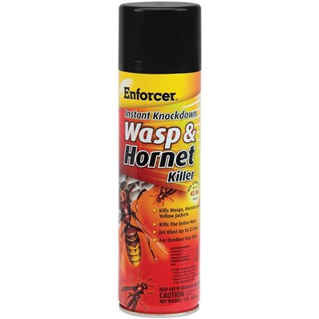 Enforcer Instant Knockdown Wasp/Hornet Spray - Spray - Kills Wasp, Hornet, Yellow Jacket - 16 fl oz - Clear, Light Yellow - 12 /