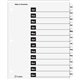 Cardinal OneStep Monthly Index System - 12 x Divider(s) - Printed Tab(s) - Month - Jan-Dec - 12 Tab(s)/Set - 9" Divider Width x 