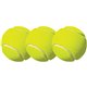 Champion Sports Tennis Ball Pack - 2.50" - Yellow - 3 / Pack