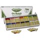 Crayola Classpack Oil Pastel - Blue, Brown, Green, Orange, Peach, Pink, Red, Violet, Yellow, Yellow Green, White, ... - 336 / Bo