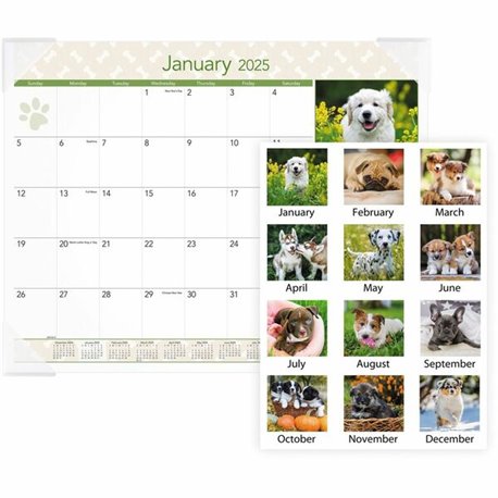 At-A-Glance Puppies Desk Pad - Standard Size - Monthly - 12 Month - January 2025 - December 2025 - 1 Month Single Page Layout - 