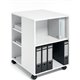 DURABLE Multifunction Trolley - 6 Shelf - 132 lb Capacity - 4 Casters - Wood - x 20.8" Width x 23.3" Depth x 29.4" Height - Whit