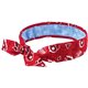 Chill-Its 6700CT Cooling Bandana - 6 / Carton - Red - Cotton