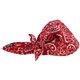 Chill-Its 6710CT Evaporative Cooling Bandana Triangle Hat - 0.5" Width x 9.5" Height x 7" Length - 6 / Carton - Red Western - Po