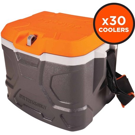 Chill-Its 5170 Industrial Hard Sided Cooler - 4.25 gal - 18 Can Support - Orange, Gray - Fabric