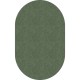 Flagship Carpets Amerisoft Solid Color Rug - 12 ft Length x 90" Width - Oval - Sage Green - Nylon, Polyester