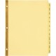 Avery Laminated Dividers - Gold Reinforced - 12 x Divider(s) - Printed Tab(s) - Month - January-December - 12 Tab(s)/Set - 8.5" 