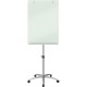 Quartet Infinity Mobile Easel with Glass Dry-Erase Board - 24" (2 ft) Width x 77" (6.4 ft) Height - Silver Tempered Glass Surfac