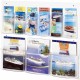 Safco Nine Compartment Magazine/Pamphlet Display - 9 Compartment(s) - Compartment Size 7" x 2" x 9.12" - 23.5" Height x 28" Widt