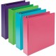 Samsill Earthchoice Durable View Binder - 2" Binder Capacity - Letter - 8 1/2" x 11" Sheet Size - 425 Sheet Capacity - 2" Ring -