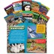 Shell Education TFK 4th-Grade Spanish 10-Book Set 3 Printed Book - Book - Grade 4 - Spanish