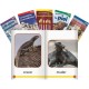 Shell Education TIME For Kids Informational Text Grade K Readers Set 3 10-Book Spanish Set Printed Book - Book - Grade K - Spani