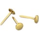 ACCO Brass Fasteners - 0.38" Head - 1" Length - Flexible, Heavy Duty, Corrosion-free, Self-piercing Point, Rust Proof - 100 / Bo