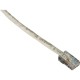 Black Box GigaTrue Cat. 6 Channel UTP Patch Cable - RJ-45 Male - RJ-45 Male - 3ft - Beige