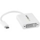 StarTech.com USB C to DVI Adapter - White - Thunderbolt 3 Compatible - 1920x1200 - USB-C to DVI Adapter for USB-C devices such a