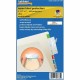 Tabbies Self-adhesive File Folder Label Protectors - 3 1/2" x 2" Sheet - Rectangular - Clear - 500 / Box