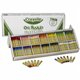 Crayola Classpack Oil Pastel - Blue, Brown, Green, Orange, Peach, Pink, Red, Violet, Yellow, Yellow Green, White, ... - 336 / Bo