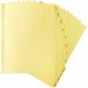 Business Source Monthly Clear Plastic Tab Index Dividers - Printed Tab(s) - Month - January-December - 12 Tab(s)/Set - 8.5" Divi