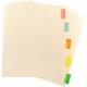Business Source Color Tab Pocket Binder Dividers - Blank Tab(s) - 5 Tab(s)/Set - 9" Divider Width x 11" Divider Length - Letter 