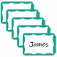 C-Line Self-Adhesive Name Tags - Green Border, Peel & Stick, 3-1/2 x 2-1/4, 100/BX, 92263