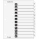Cardinal OneStep Monthly Index System - 12 x Divider(s) - Printed Tab(s) - Month - Jan-Dec - 12 Tab(s)/Set - 9" Divider Width x 